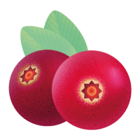 Dos arándanos rojos con hojas verdes.