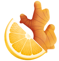 Ilustración de una raíz de jengibre junto a una rodaja de naranja.