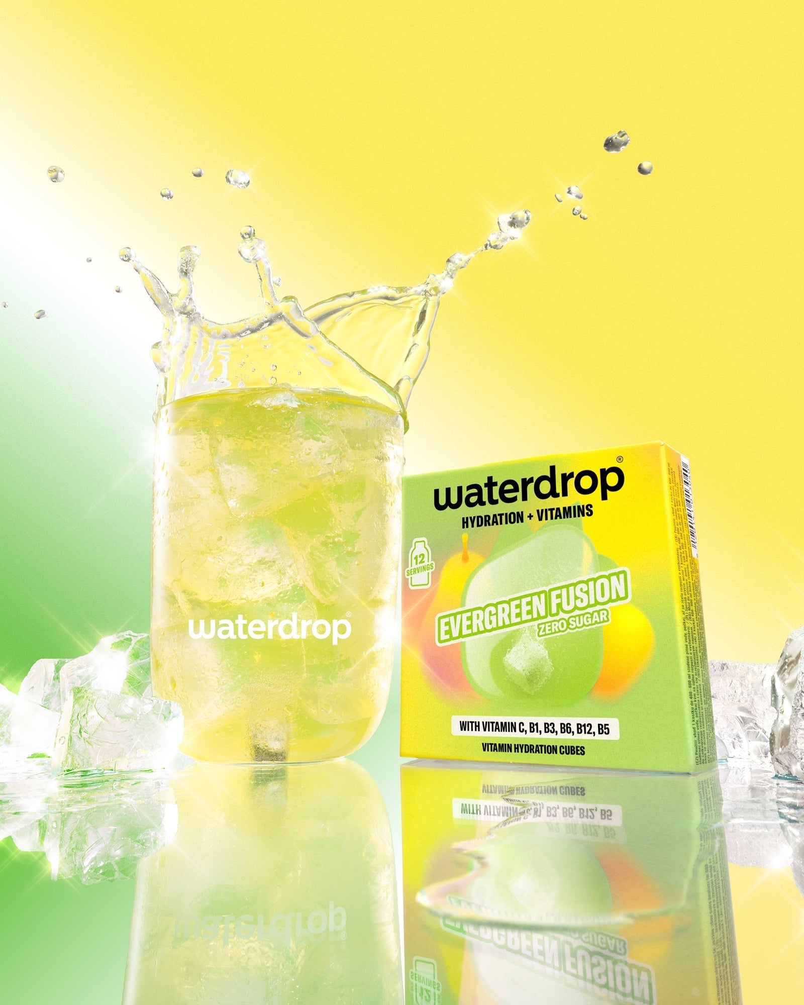 Pack de 12 EVERGREEN FUSION: Pídelo ya | waterdrop®