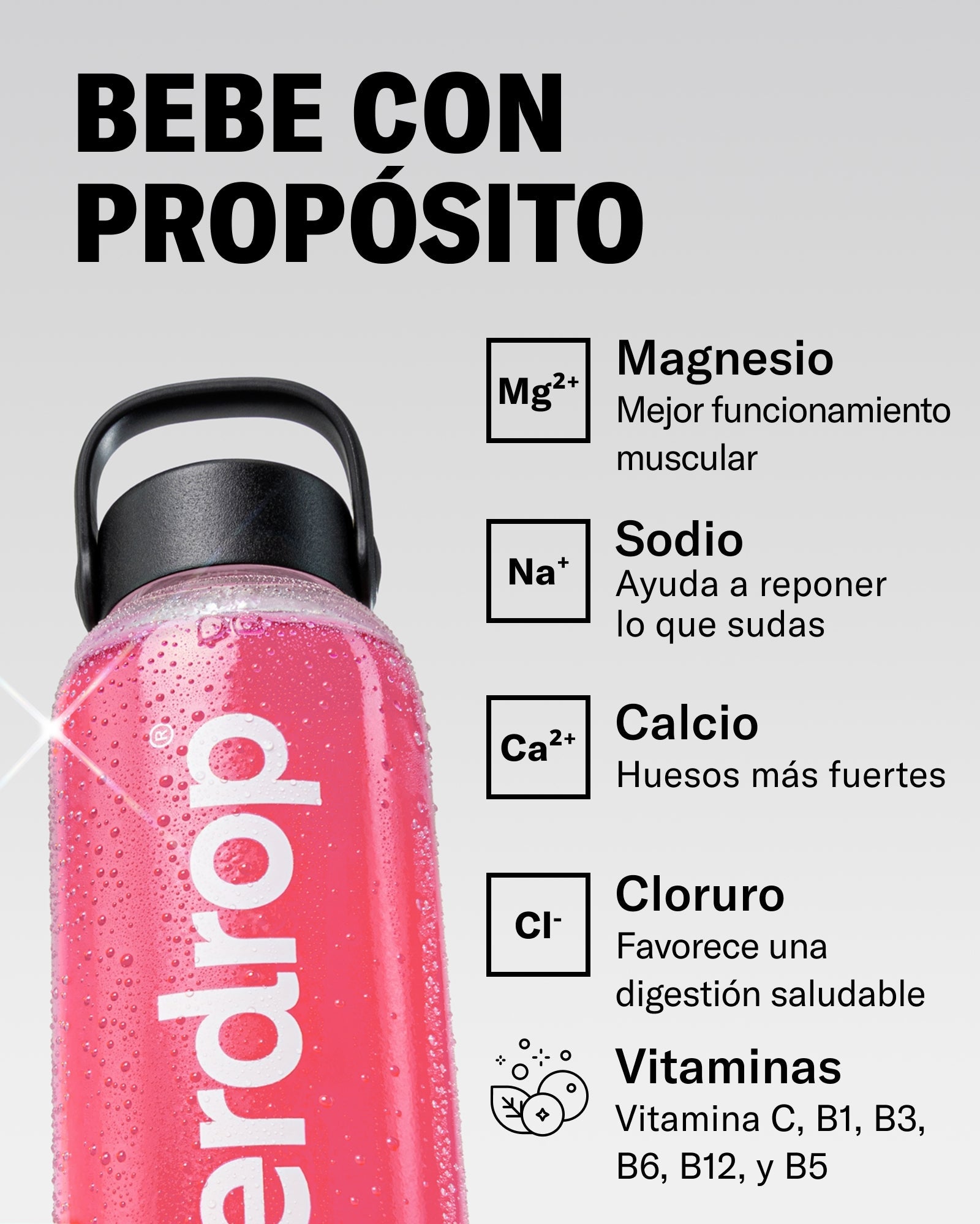 Set Microlyte RECHARGE