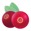ARÁNDANO ROJO Y ACEROLA · IMMUNITY