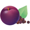 CIRUELA ESPECIADA · IMMUNITY