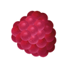 FRAMBUESA
