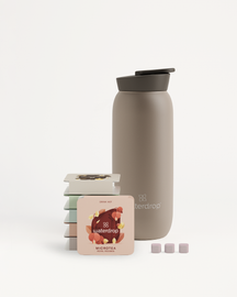 Set de inicio Microtea